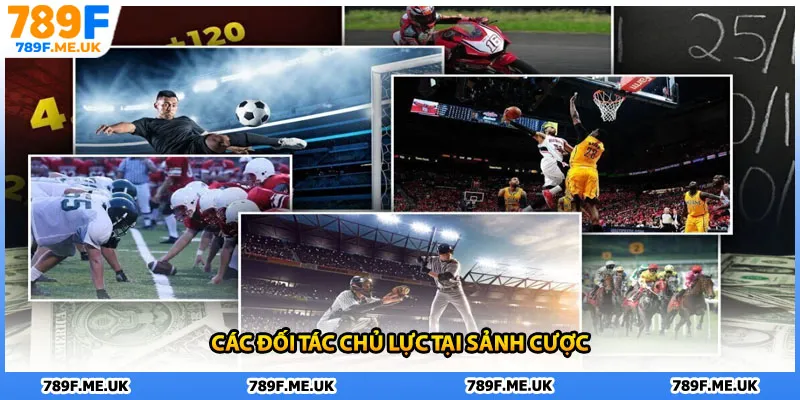 Các đối tác chủ lực tại sảnh cược