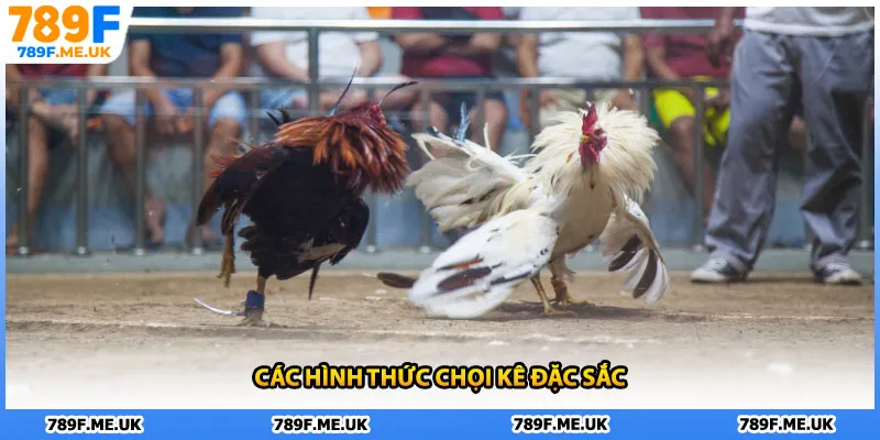 Các hình thức chọi kê đặc sắc