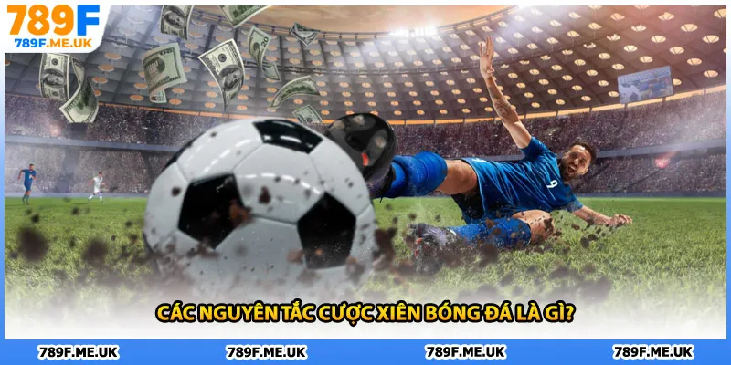 Các nguyên tắc cược xiên bóng đá là gì?