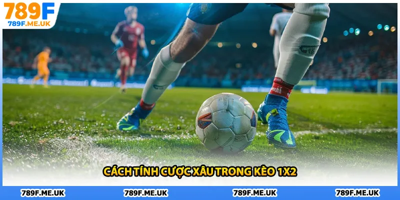 Cách tính cược xâu trong kèo 1x2