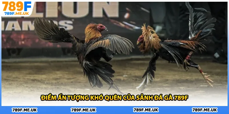 Điểm ấn tượng khó quên của sảnh đá gà 789F