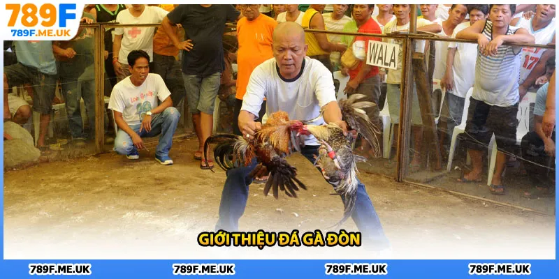 Giới thiệu đá gà đòn