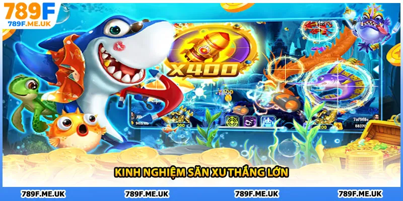 Kinh nghiệm săn xu thắng lớn