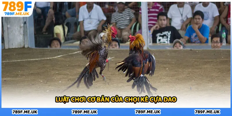 Luật chơi cơ bản của chọi kê cựa dao